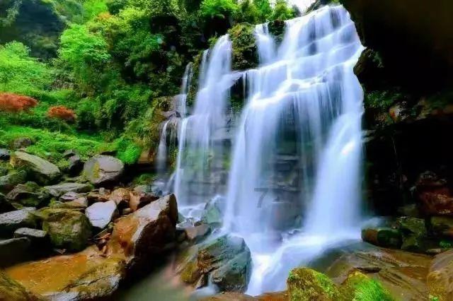 逃离粉红岛