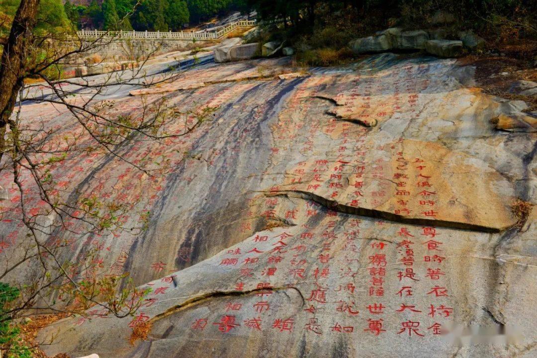 亚洲杯耻辱出局!告别“金元足球”,中国足球如何重生?