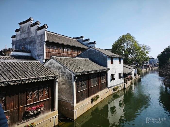 救援鹦鹉