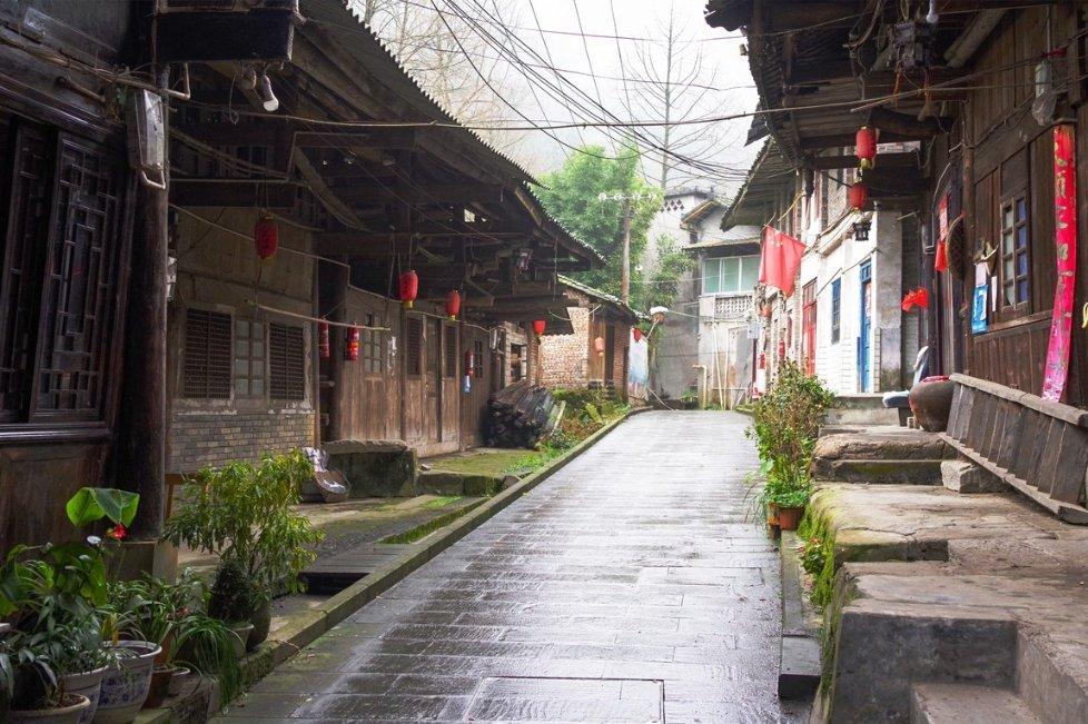 拯救可爱小浣熊